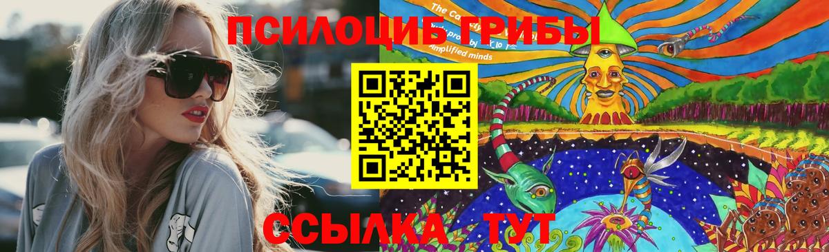 Псилоцибиновые грибы мицелий Верхняя Пышма