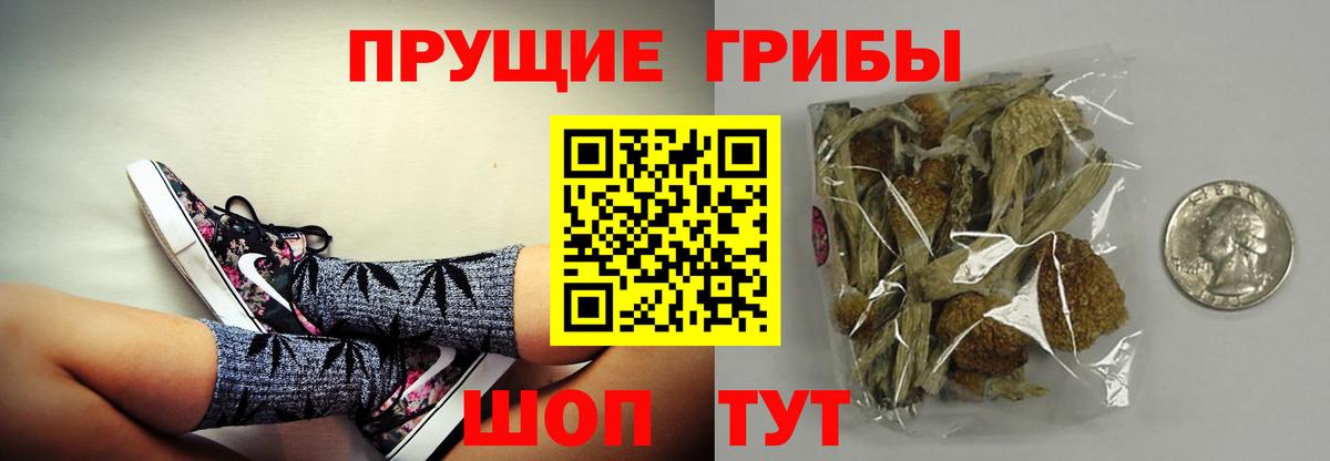 Верхняя Пышма  Галлюциногенные грибы Magic Shrooms  Вход с VPN  Галлюциногенные грибы Cubensis 